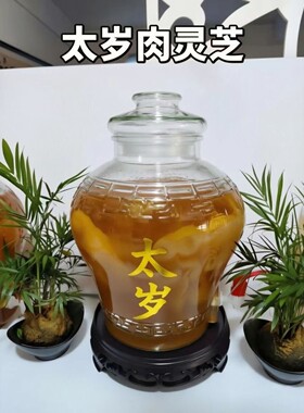 活体太岁天然肉灵芝肉太岁现切保真包养活滋补泡水喝指导好培养活
