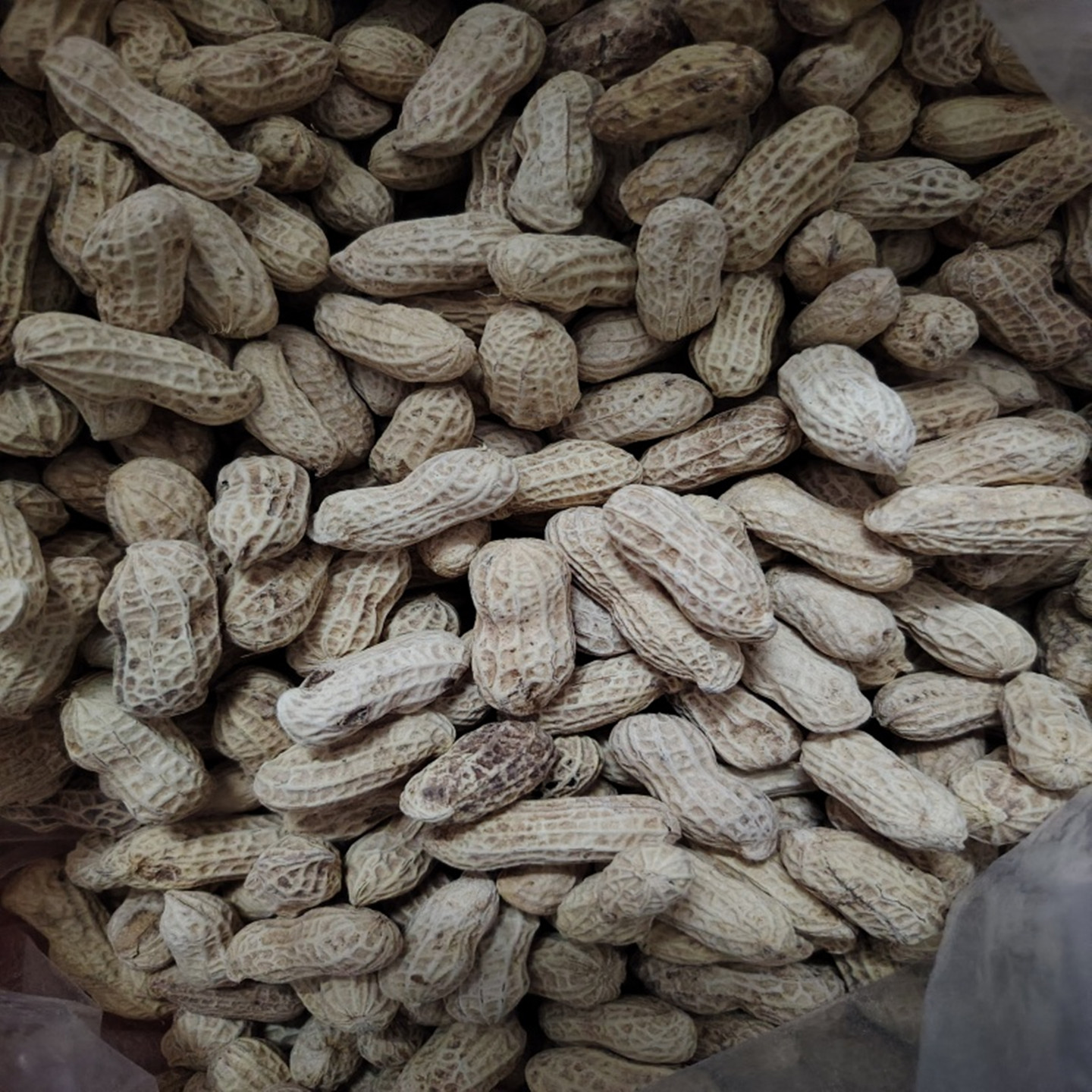 花生黄皮叶花生肇庆莲塘特产正宗农家水煮咸干白玉休闲看剧零食小