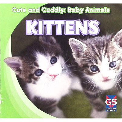 英文原版图书英语启蒙小猫绘本