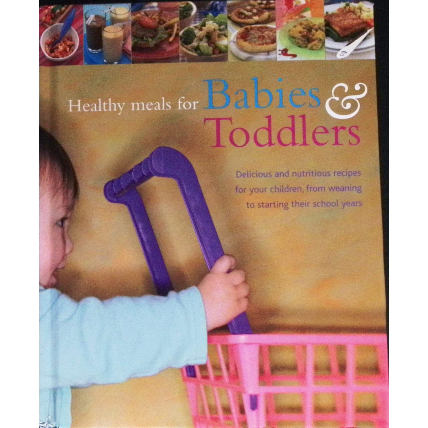 英文原版图书宝宝辅食宝典