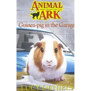 Hodder Pig Guinea 豚鼠动物 Garage the Lucy book车库里 childrens Daniels平装