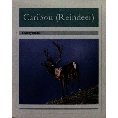 英文原版图书极地动物驯鹿科普