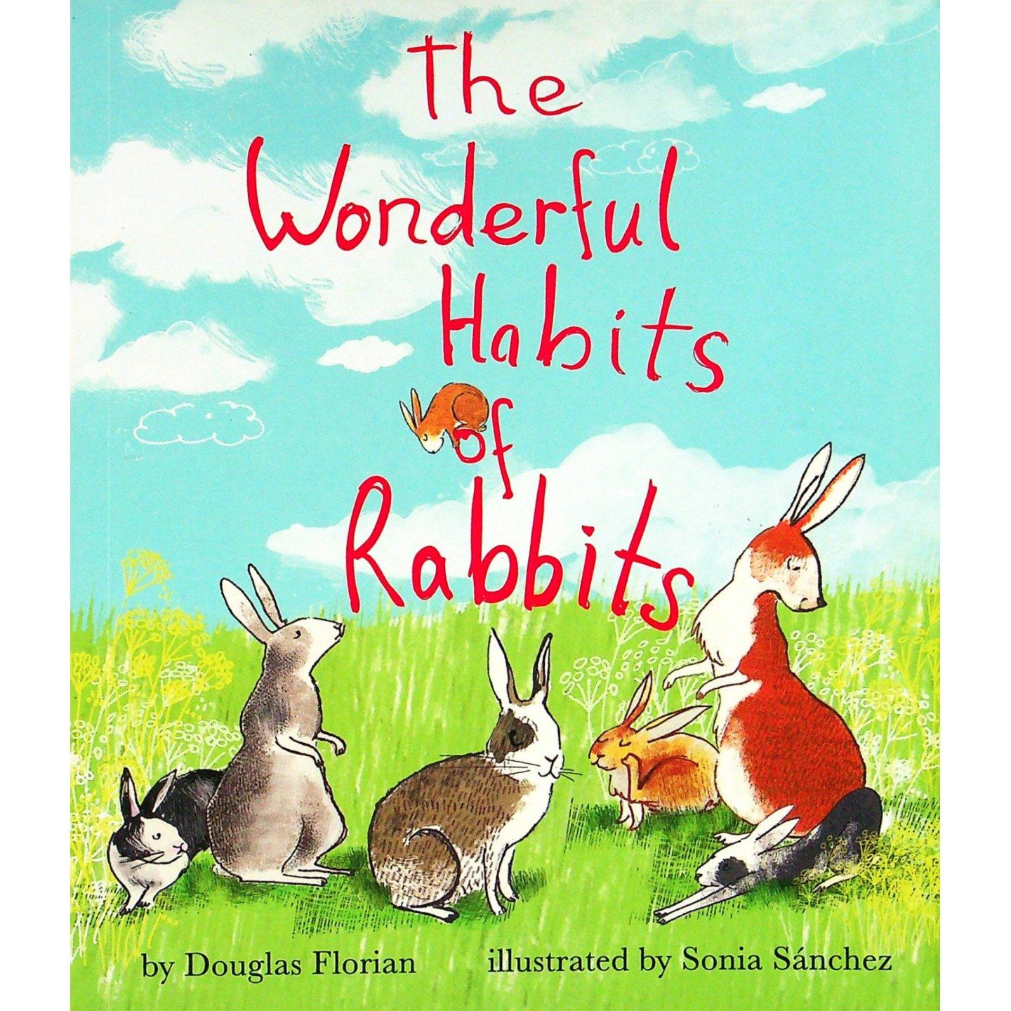 英文原版图书兔子习性绘本