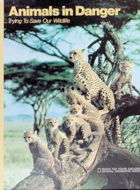 英语原版书少年探险家丛书Trying拯救我们的野生动物科普绘本国家地理学会出版适合710岁儿童阅读的环保主题彩色绘本书籍