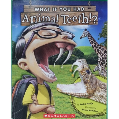 英文原版图书动物牙齿科普绘本