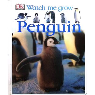 DK原版书看着我成长系列Penguin企鹅儿童科普英语读物由丽莎马格洛夫撰写生动展现企鹅生命周期适合710岁儿童阅读的自然科学绘本