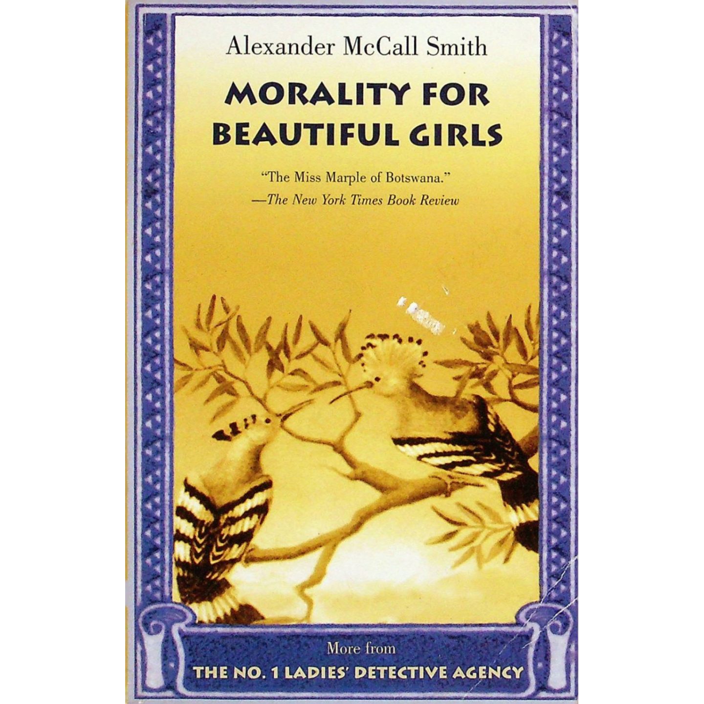 英文原版图书非洲女性侦探小说