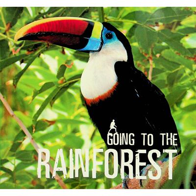 英文原版图书雨林科普绘本
