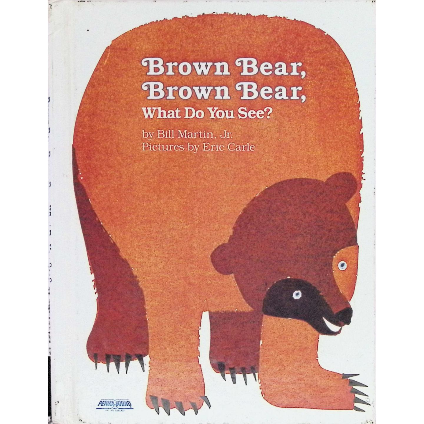 英文原版图书棕熊认知绘本