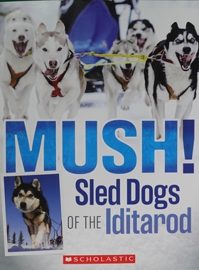 英语原版艾迪塔罗德大赛绘本MUSH儿童动物冒险体育故事书适合710岁孩子阅读了解雪橇犬比赛历史和阿拉斯加文化学乐出版社出
