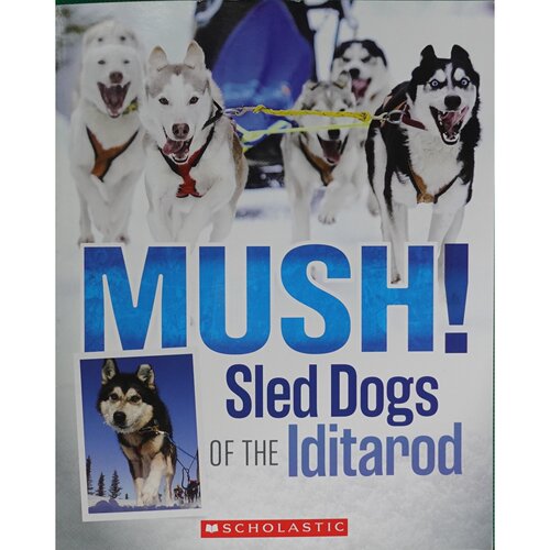 英文原版图书雪橇犬冒险绘本