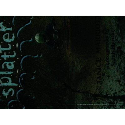 英文原版图书泥水冒险章节书