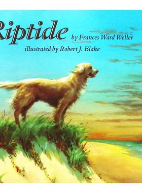 英语原版书纸星图书系列逆流Riptide绘本书弗朗西斯沃德韦勒著罗伯特J布雷克绘制讲述金毛寻回犬Rip与主人Zach的海边冒险故事