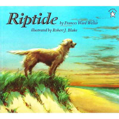 英文原版图书金毛寻回犬冒险