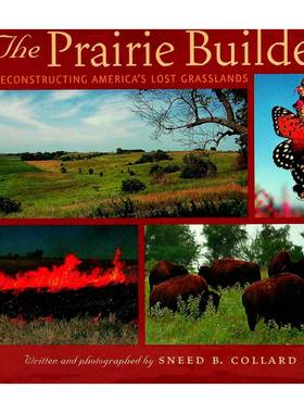 野外科学家系列原版书英语Reconstructing重建美国消失的草原生态科普章节书适合710岁儿童阅读的自然科学读物讲述美国中西部大