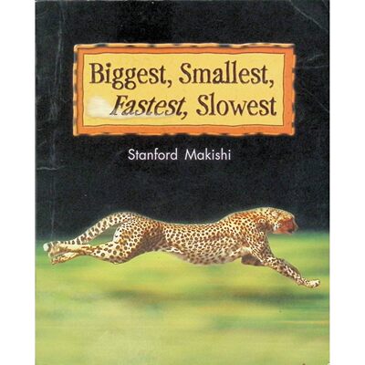 英文原版图书动物比较科普绘本