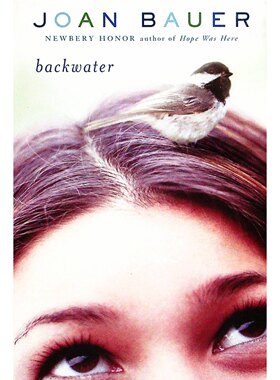 英语原版青少年小说Backwater死水琼鲍尔著纽伯瑞荣誉奖得主作品讲述少女艾薇寻找家族真相的成长故事适合1114岁读者阅读探讨家