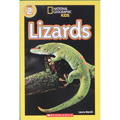 英文原版图书蜥蜴科普绘本