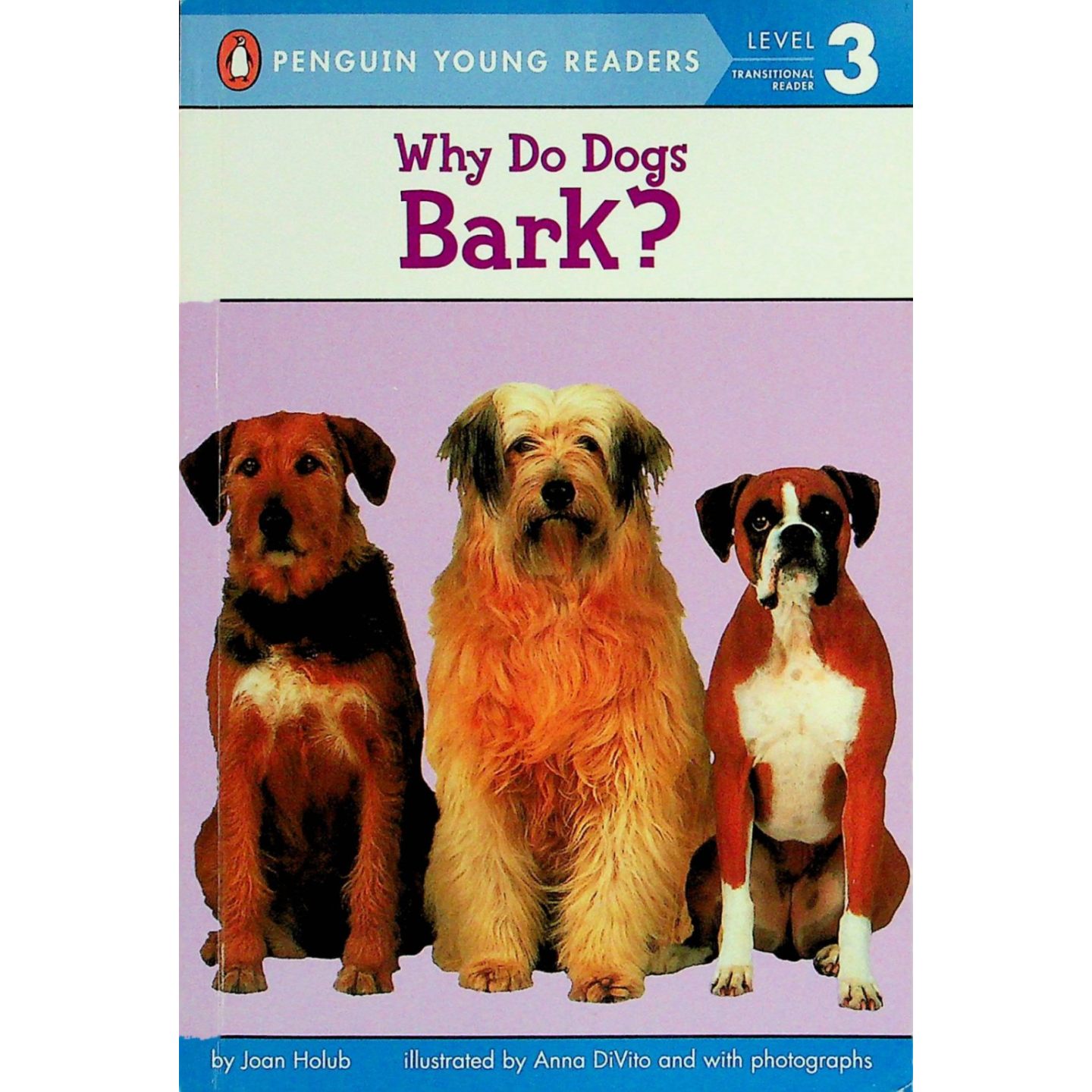 英文原版图书狗狗科普英语绘本