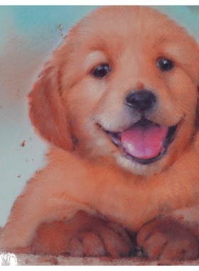 英语原版引进绘本泥爪子Muddypaws讲述男孩和小狗建立深厚友谊的温暖故事适合36岁亲子共读培养孩子爱心和同情心