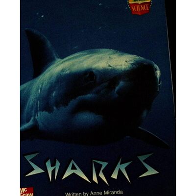 英文原版图书鲨鱼科普绘本