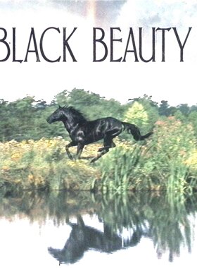 英语原版书黑骏马BLACKBEAUTY绘本动物小说亲子共读安娜休厄尔经典作品改编贝蒂伯尼精美插画讲述黑骏马一生的感人故事培养孩子