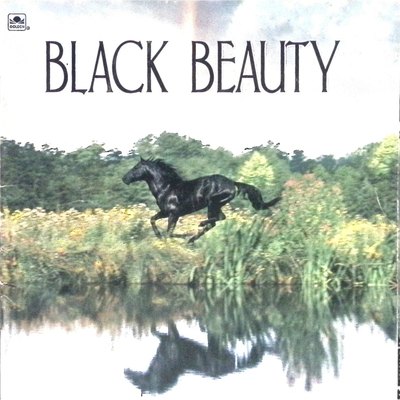 英文原版图书黑骏马绘本