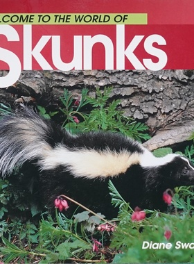 英语原版书欢迎来到臭鼬的世界Skunks儿童自然科学彩色章节书适合710岁阅读了解臭鼬生理特征和习性培养科学探索精神