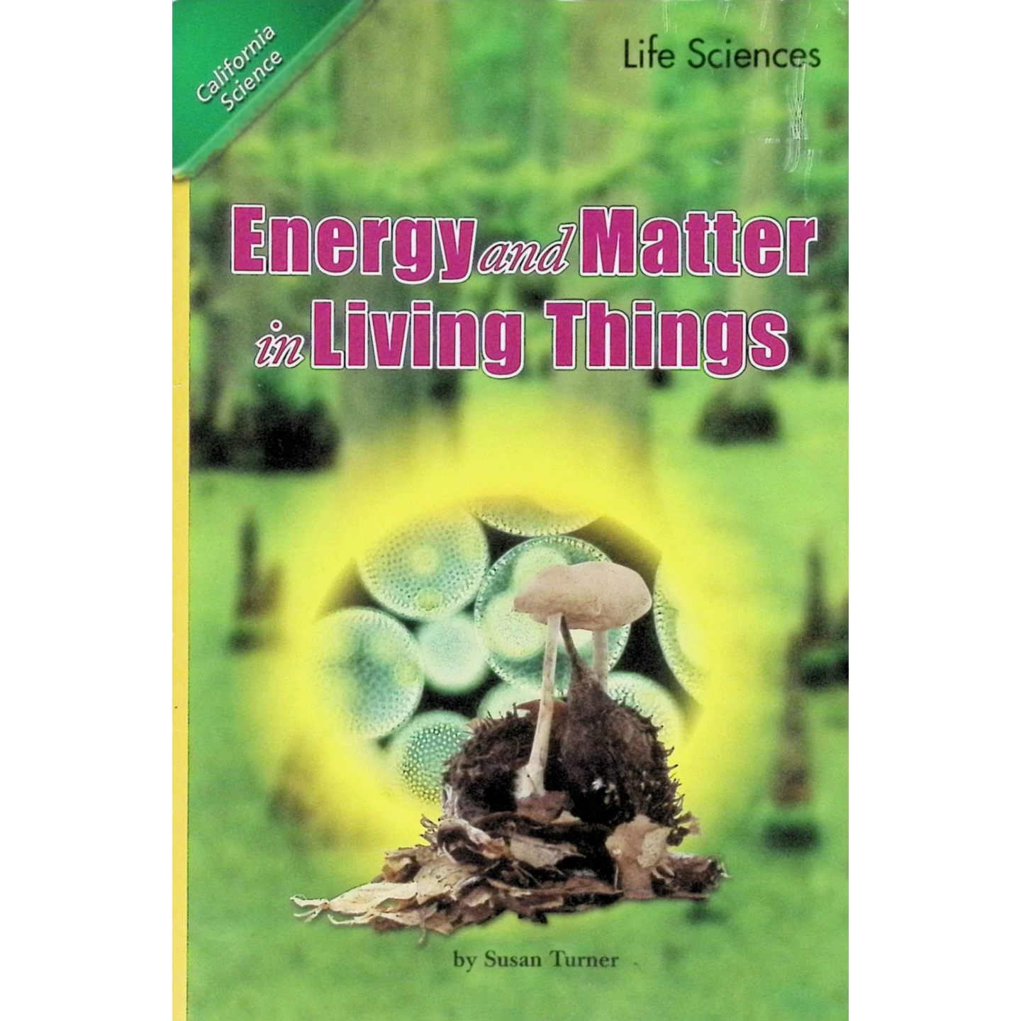 英文原版图书生物能量科普绘本