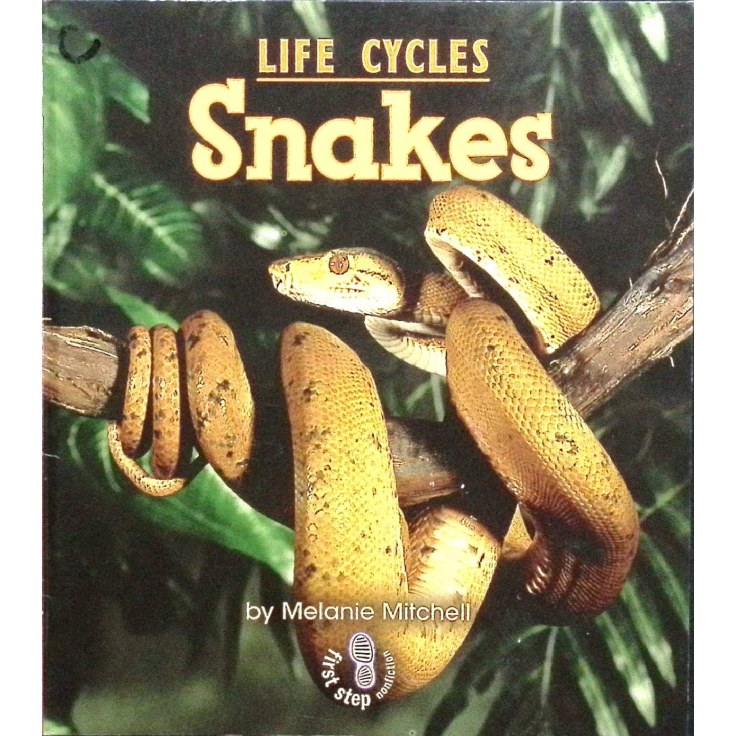 原版引进第一步非小说类生命周期系列Snakes英语科普读物彩色绘本书适合710岁儿童自然科学阅读了解蛇类爬行动物特点及生长过程