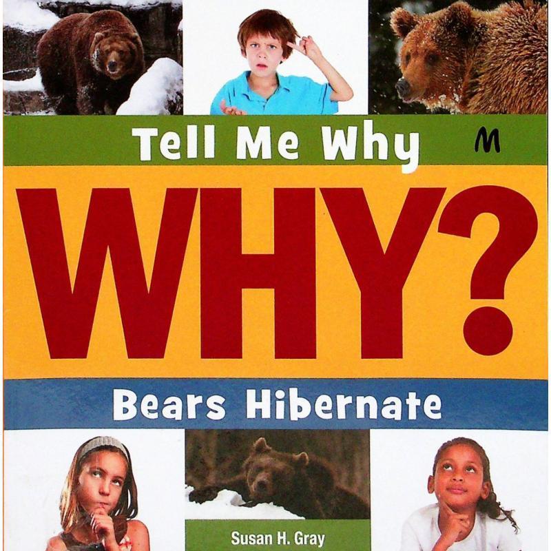Why Bears Hibernate by Susan H Gray平装Cherry Lake P