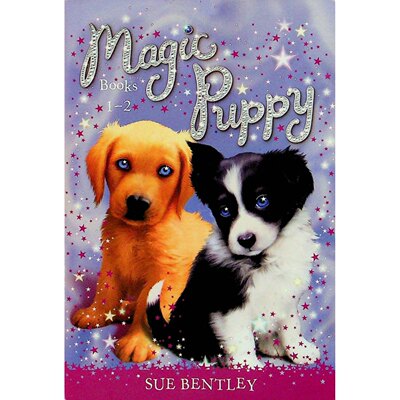 英文原版图书魔法小狗奇幻冒险