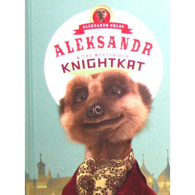 英文原版图书骑士猫冒险绘本