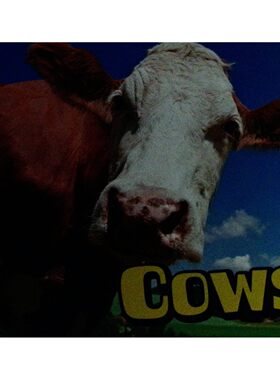 农场动物系列原版书Cows英语绘本奶牛适读36岁儿童彩色照片生动展示奶牛生活习性帮助孩子学习动物知识培养阅读兴趣Raintree出版