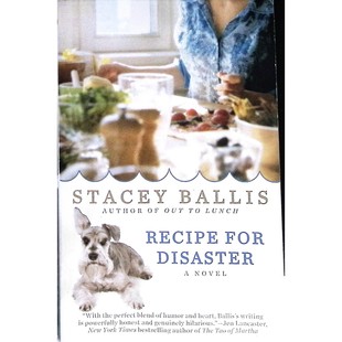 纽约时报畅销书作家斯泰西巴利斯原版引进英语章节书灾难食谱当代女性幽默小说讲述失去与重生的温暖故事适合14岁以上读者阅读