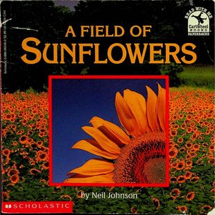 跟我一起读系列原版引进英语绘本AFieldofSunflowers自然科学启蒙亲子共读36岁适读通过生动图片展示向日葵生命周期激发孩子对植