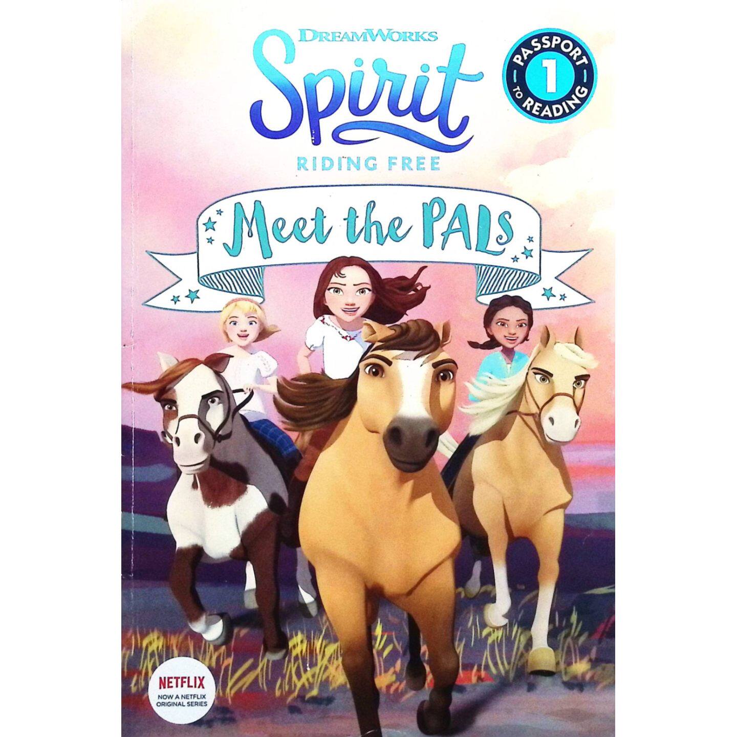 英语原版书遇见伙伴们阅读通行证系列JenniferFox著青少年小说AnimalStory彩色插图版讲述城市女孩Lucky在小镇结交新朋友与马匹