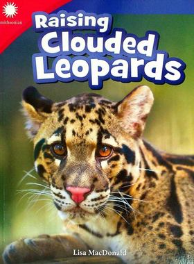 史密森尼学会原版引进英语科普绘本Raising饲养云豹适合710岁儿童了解珍稀动物习性及保护知识亲子共读自然教育课外读物