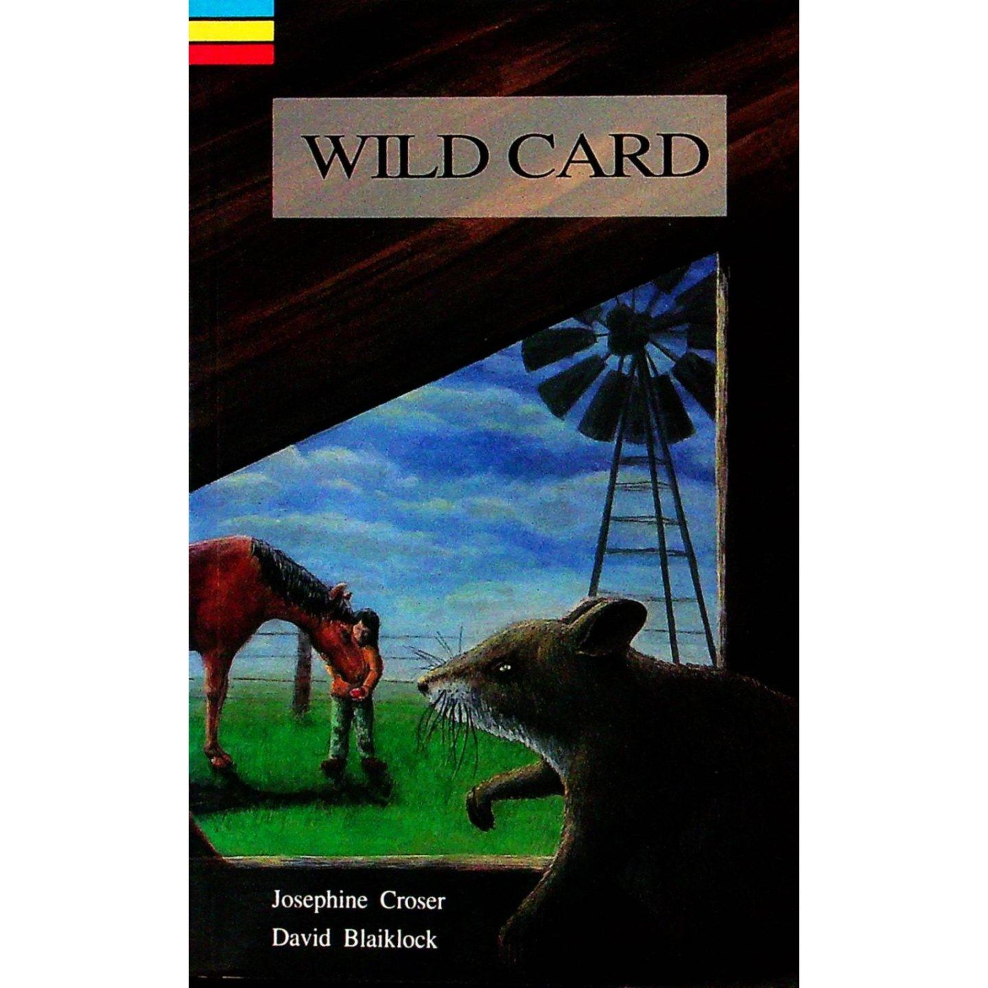 英文原版图书温情动物小说WILD