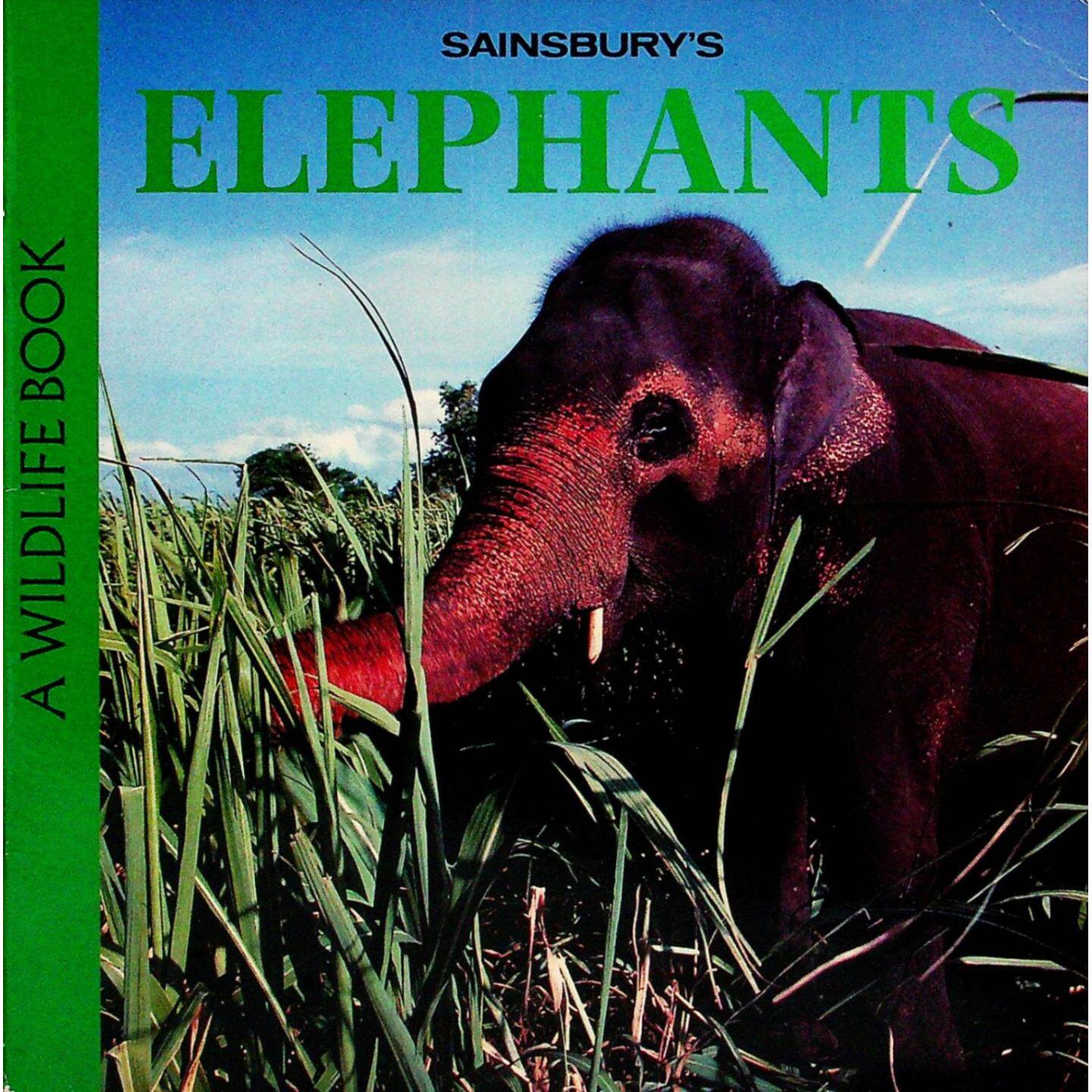 森宝利野生动物书籍原版英语绘本Elephants亲子共读自然科学动物科普读物适合36岁儿童了解大象习性栖息地等知识