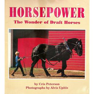 英语原版引进绘本挽马的奇迹由著名儿童作家克里斯彼得森与摄影师阿尔维斯乌皮蒂斯合作打造精美照片展现挽马奇妙世界适合710岁