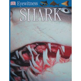 英国科普作家米兰达麦奎蒂创作的目击者系列原版书Eyewitness鲨鱼绘本英语版DK出版社出版适合710岁儿童阅读的海洋生物科普读物