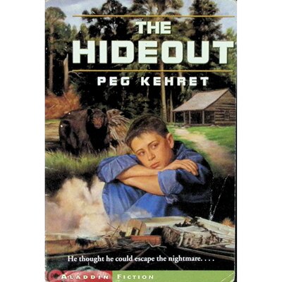 英文原版图书少年悬疑冒险故事