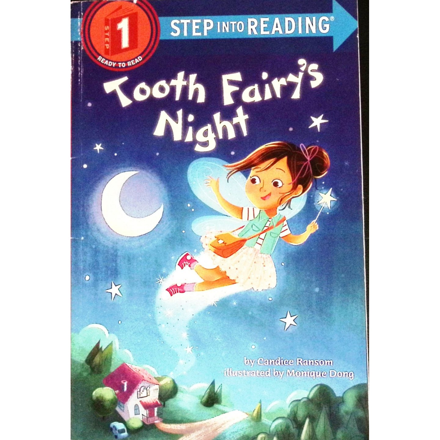 英文原版图书牙仙之夜绘本