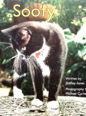 英语原版书阿尔法儿童读物Sooty绘本书亲子共读宠物故事适合710岁儿童阅读通过真实摄影图片和简单英语文字讲述一只顽皮可爱的猫
