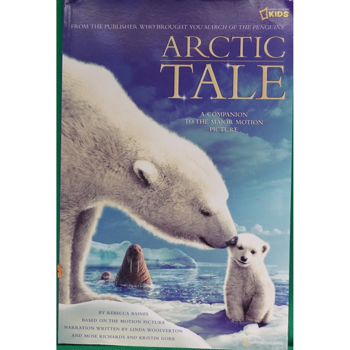 英文原版图书北极动物冒险绘本