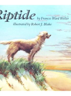 英语原版书逆流获奖绘本亲子共读Riptide宠物故事海岸生活科德角金毛犬忠诚友谊情感认知自然地理知识语言文学欣赏批判性思维儿