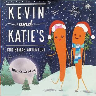 英语原版书凯文和凯蒂的圣诞冒险Christmas绘本适合36岁儿童亲子共读充满节日气氛的温馨故事朗朗上口的押韵文字和童趣插图带来