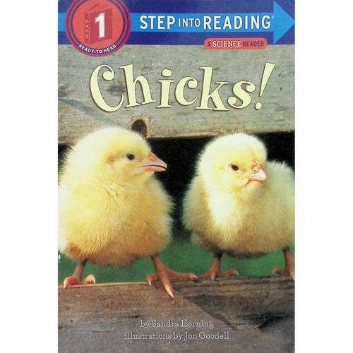 英文原版图书小鸡成长科学读物