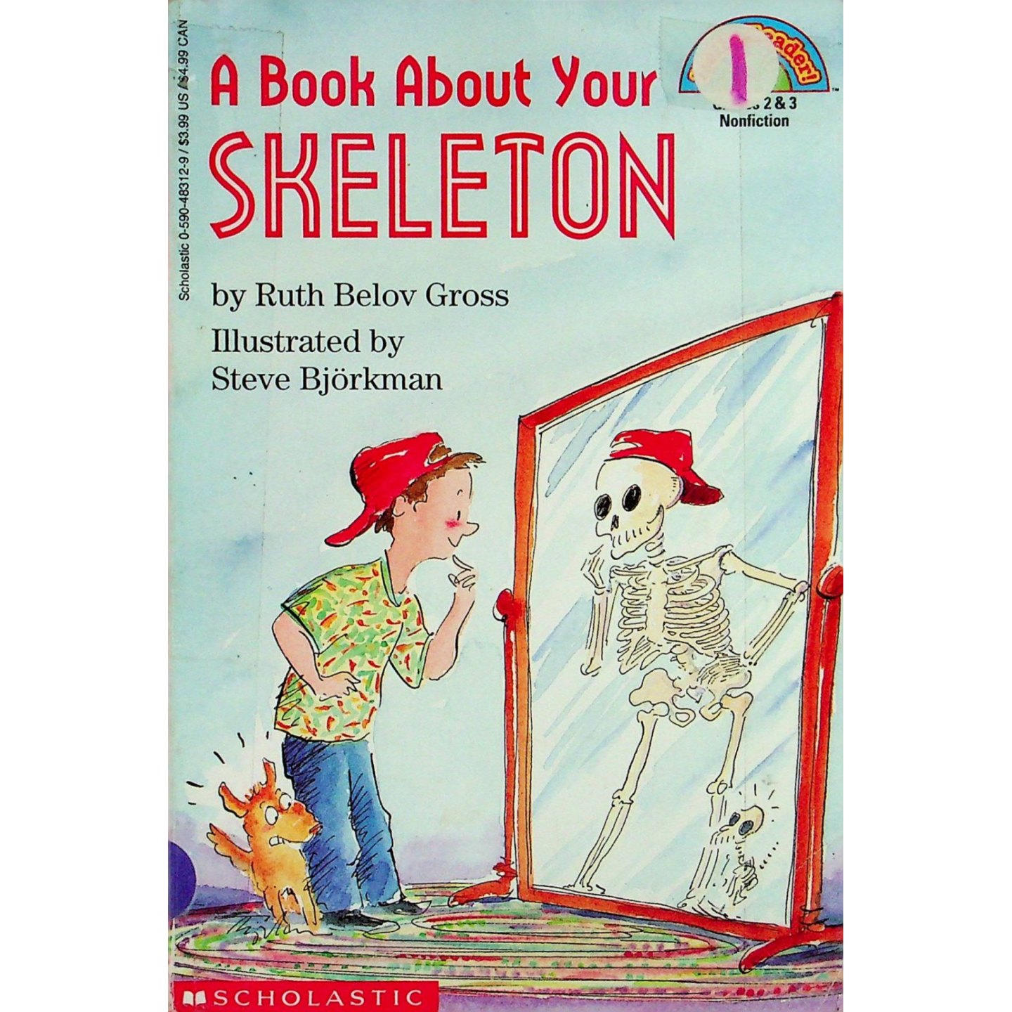 英文原版图书骨骼科普绘本